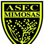 Asec_Mimosas_BAAB