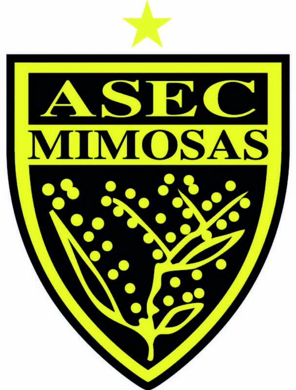 Asec_Mimosas_BAAB