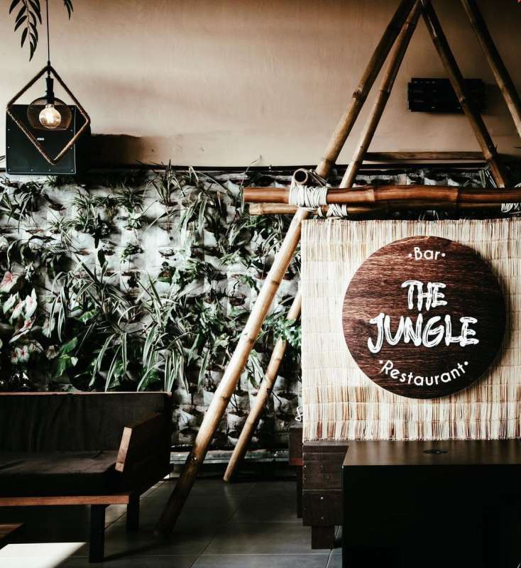The Jungle 5 BAAB