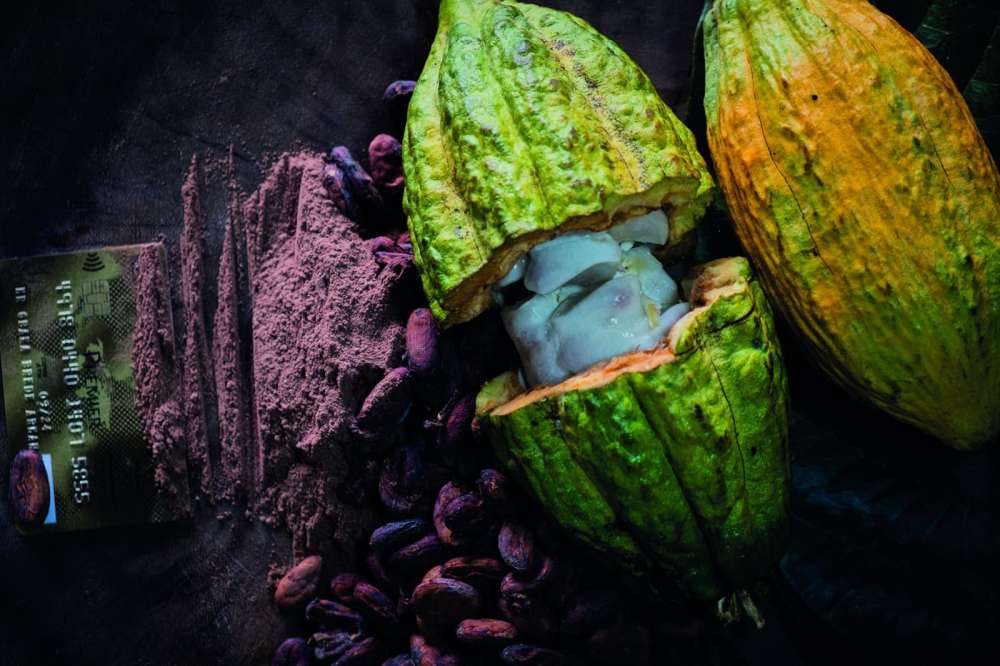 #1 Le Cacao de CI-BAAB