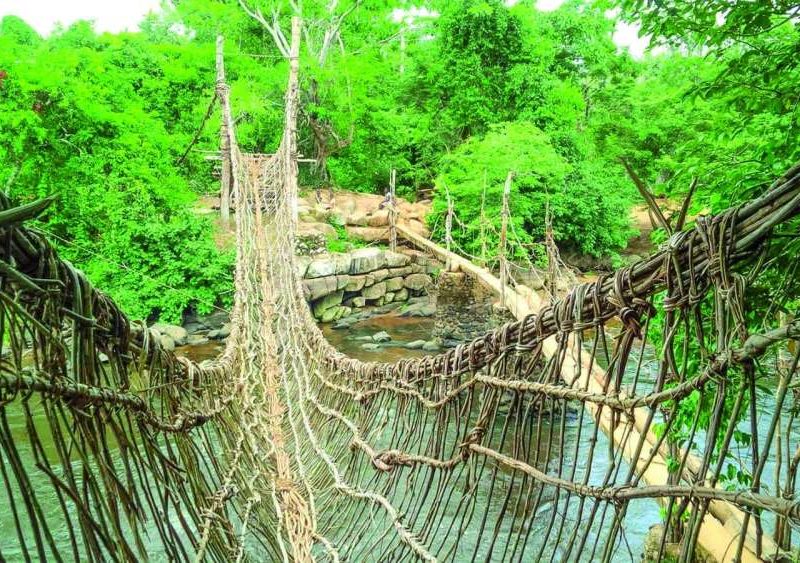 #22 Les Mystérieux ponts de lianes de Man-BAAB