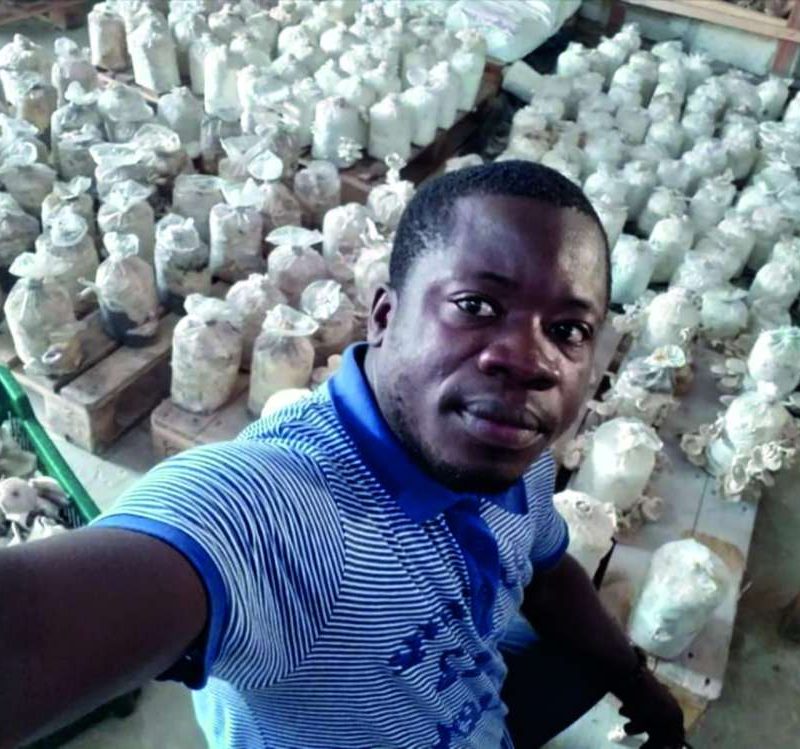 Aka Ange Roland_Ivoire Myciculture BAAB