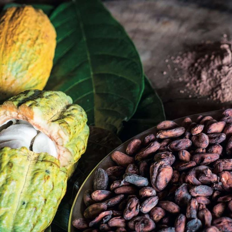 Traite du Cacao BAAB