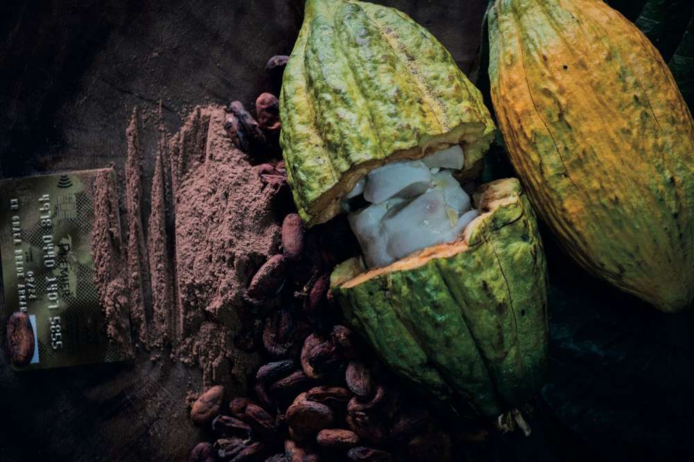 Le cacao est amer 2 BAAB