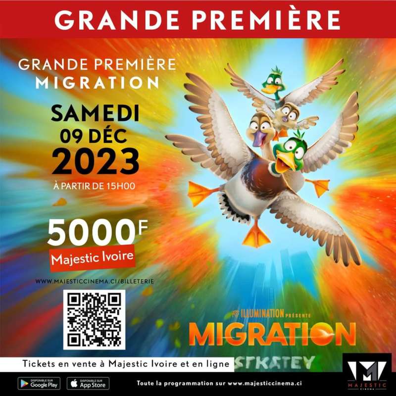 Idée Cadeau : Oiseaux Agenda 2024 / Portraits et chants d'oiseaux au fil  des mois (avec Qrcodes) 